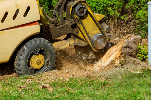 Best Firewood Processing and Delivery  in Lake Telemark, NJ