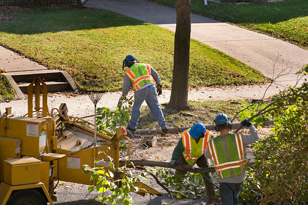 Best Lawn Irrigation Installation and Maintenance  in Lake Telemark, NJ